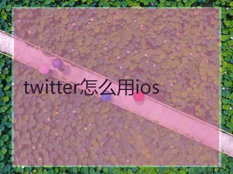twitter怎么用ios