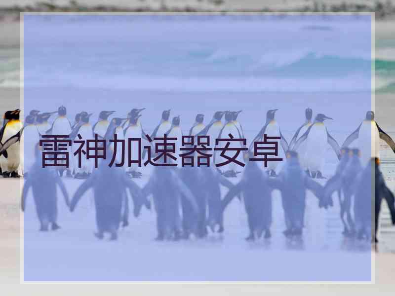雷神加速器安卓