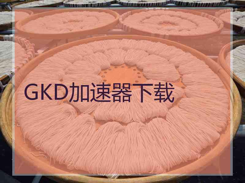 GKD加速器下载