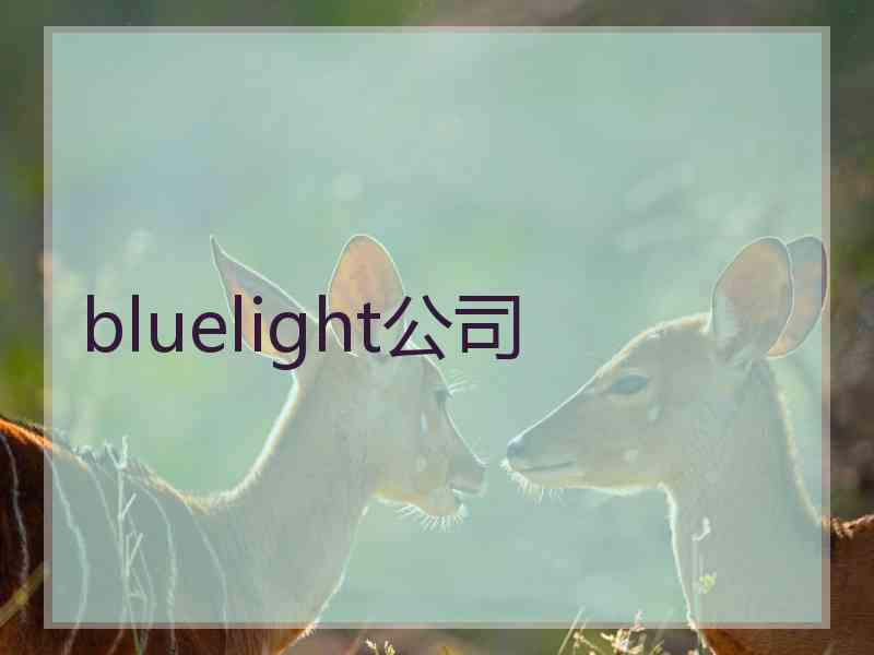 bluelight公司