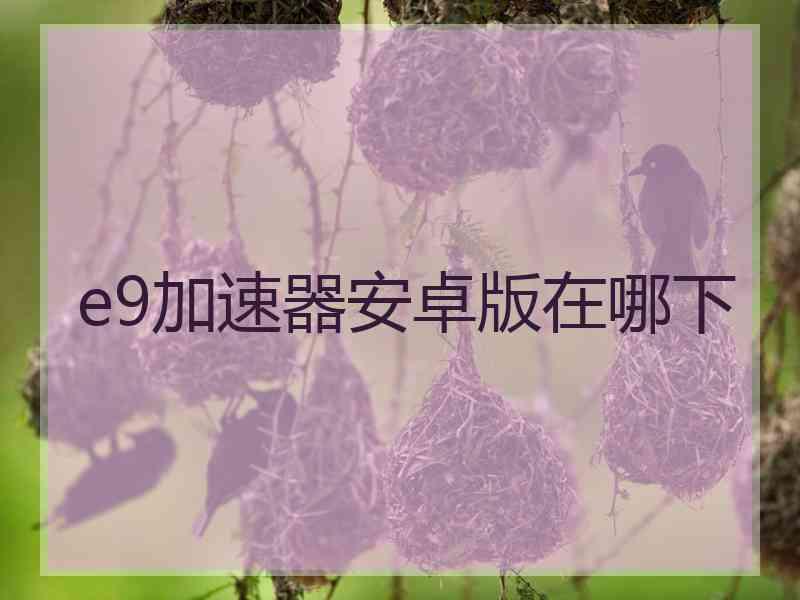 e9加速器安卓版在哪下