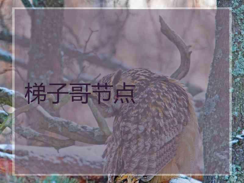 梯子哥节点