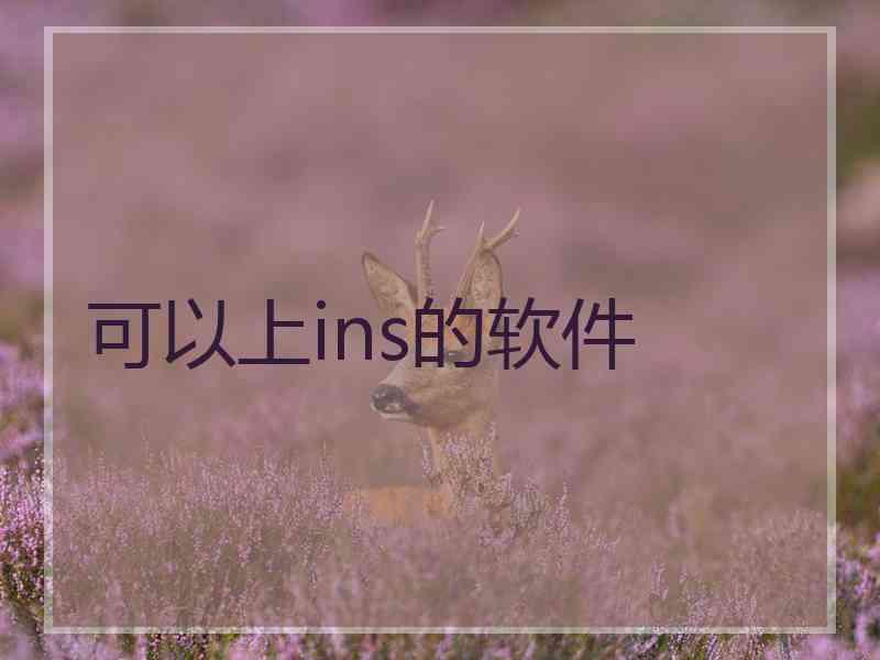 可以上ins的软件