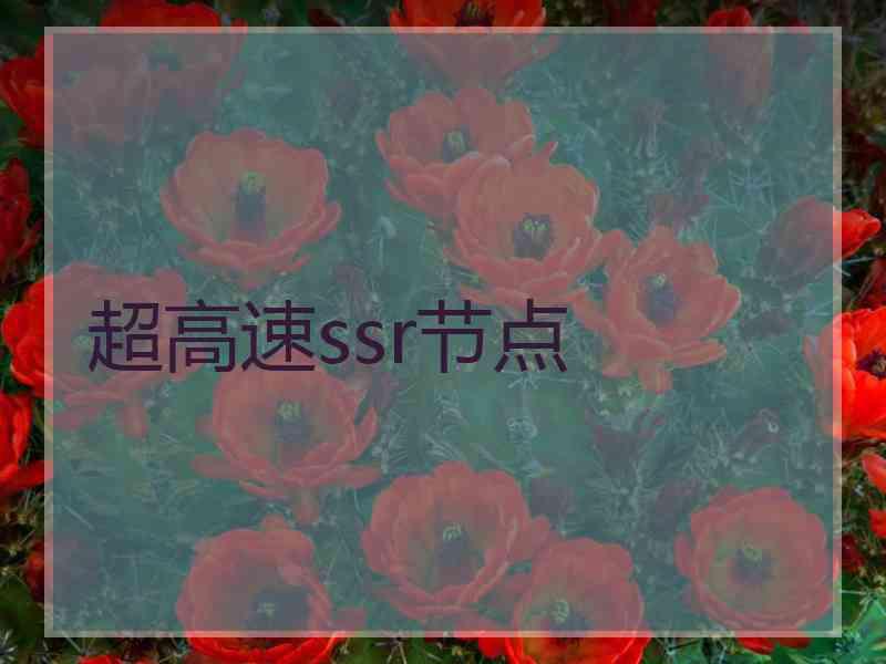 超高速ssr节点