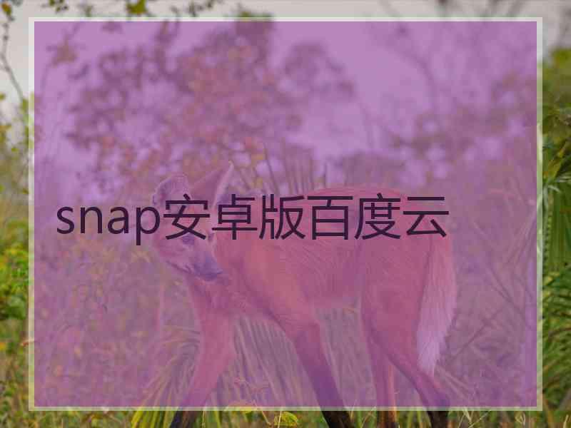 snap安卓版百度云