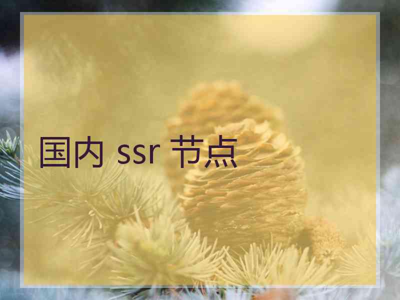 国内 ssr 节点