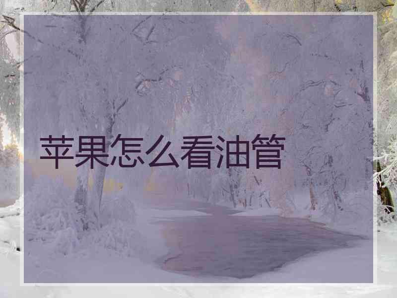 苹果怎么看油管