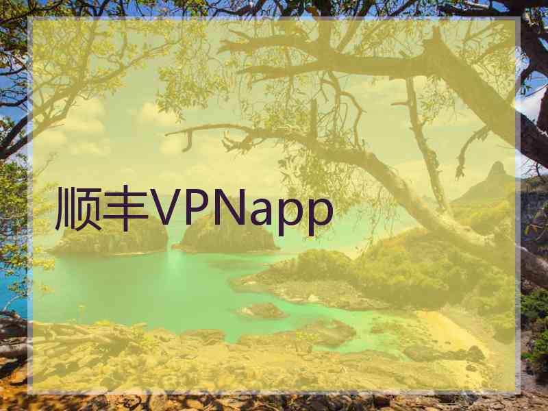 顺丰VPNapp