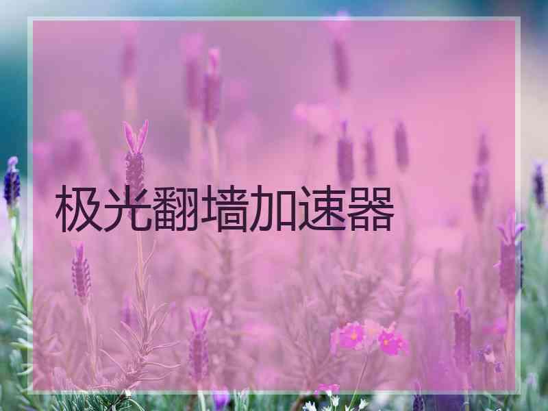极光翻墙加速器