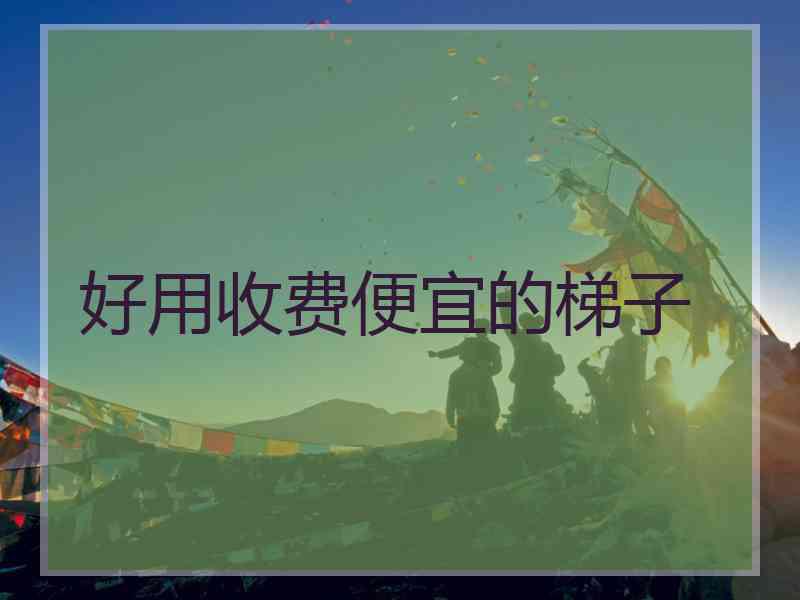 好用收费便宜的梯子
