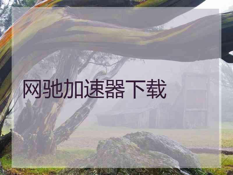 网驰加速器下载