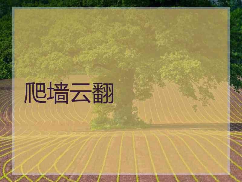 爬墙云翻
