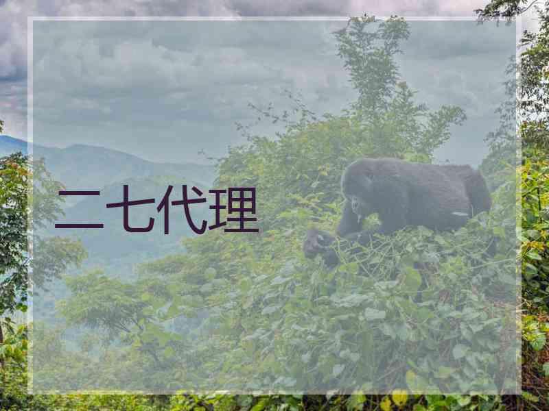 二七代理