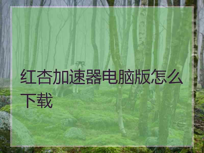 红杏加速器电脑版怎么下载