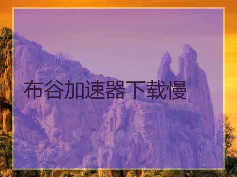布谷加速器下载慢