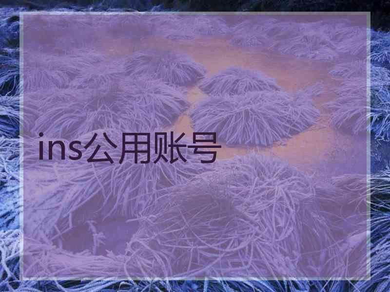 ins公用账号