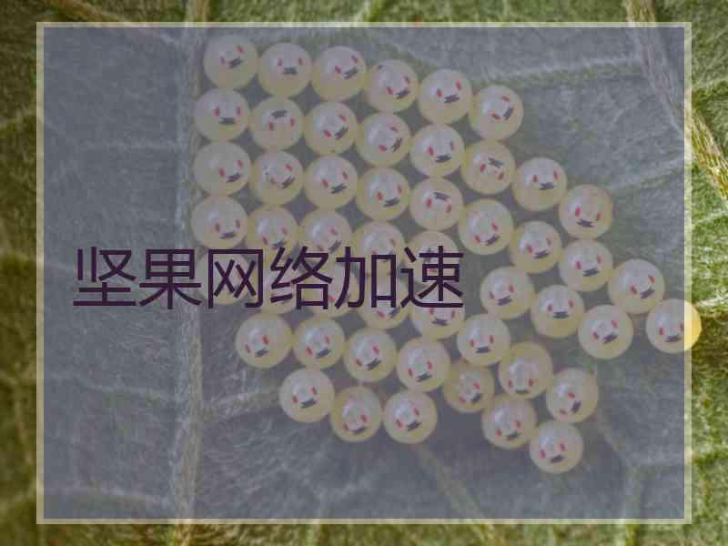 坚果网络加速