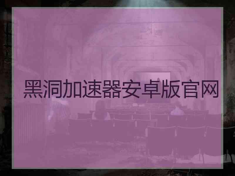 黑洞加速器安卓版官网
