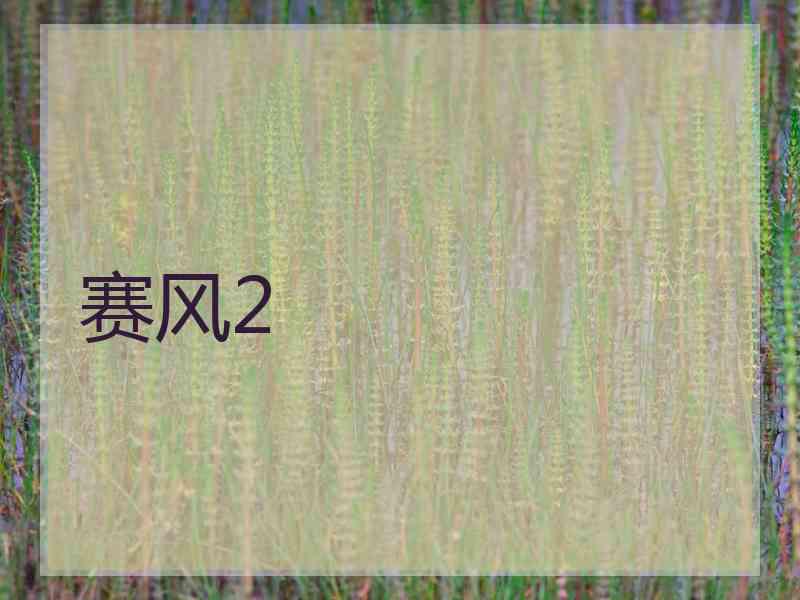 赛风2
