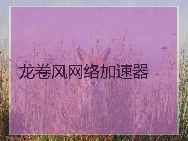 龙卷风网络加速器