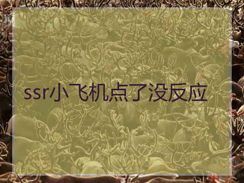 ssr小飞机点了没反应