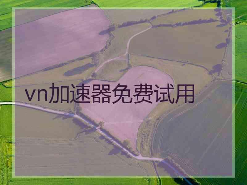 vn加速器免费试用