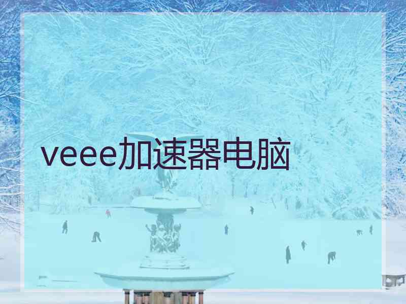 veee加速器电脑