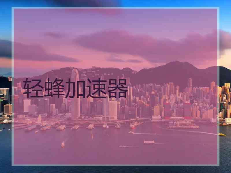 轻蜂加速器