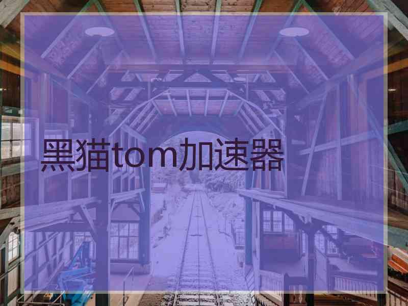黑猫tom加速器