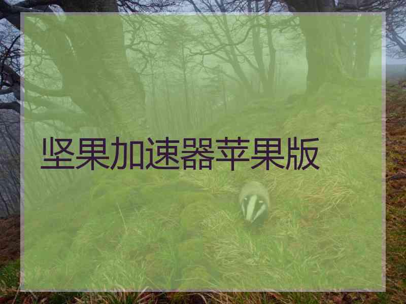 坚果加速器苹果版