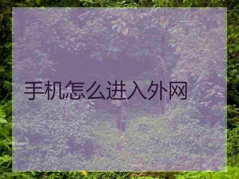 手机怎么进入外网