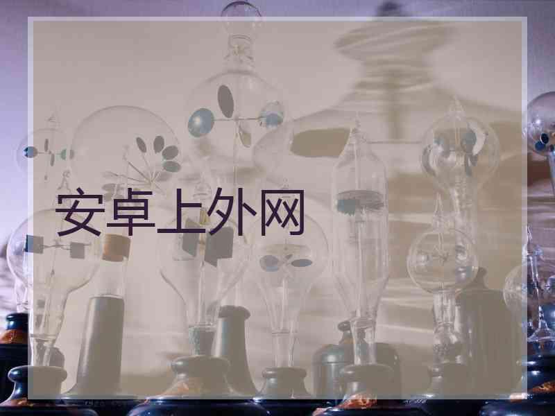 安卓上外网