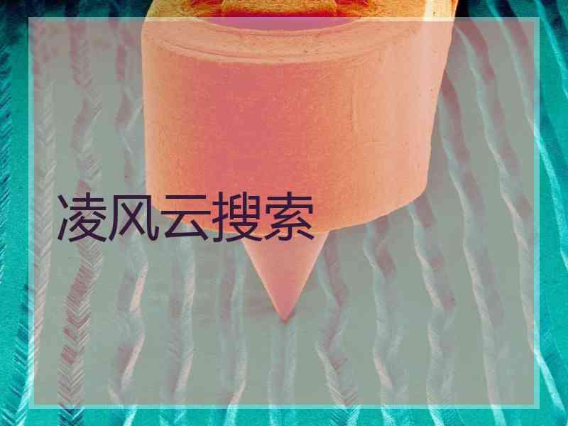 凌风云搜索