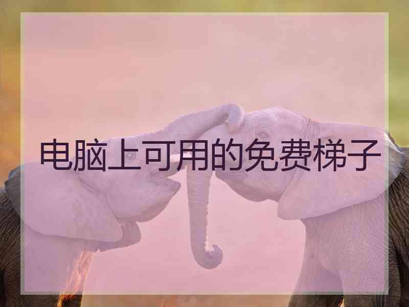 电脑上可用的免费梯子