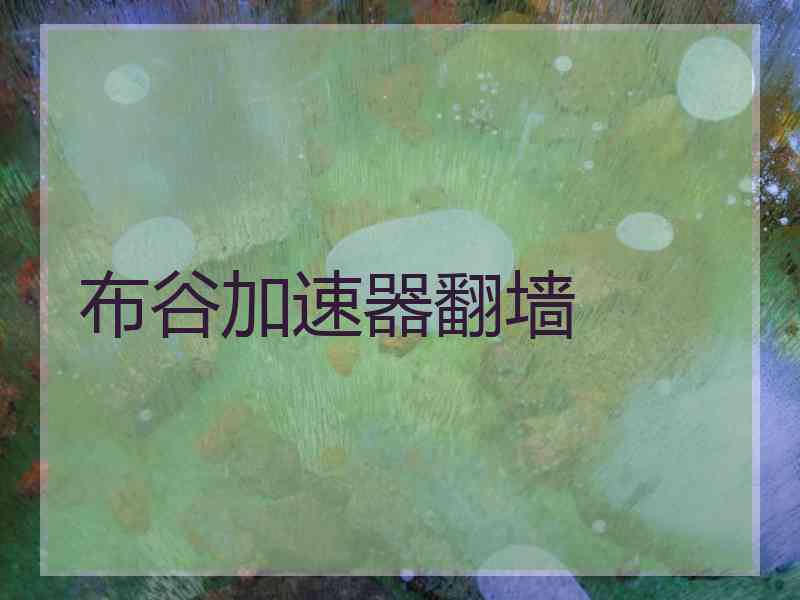 布谷加速器翻墙