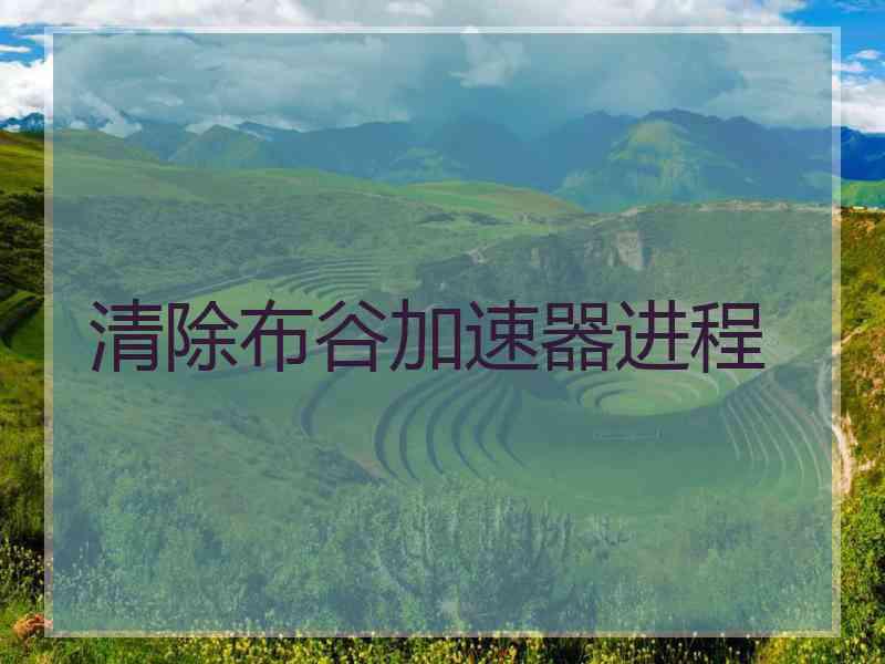 清除布谷加速器进程