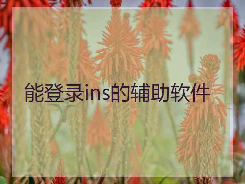 能登录ins的辅助软件