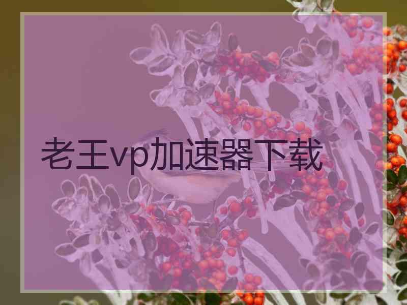 老王vp加速器下载