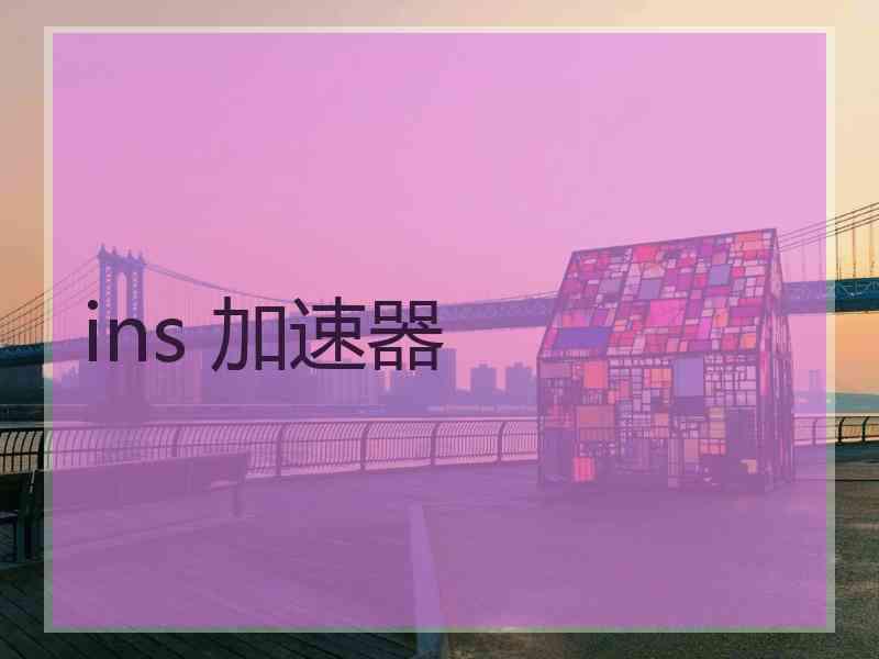 ins 加速器