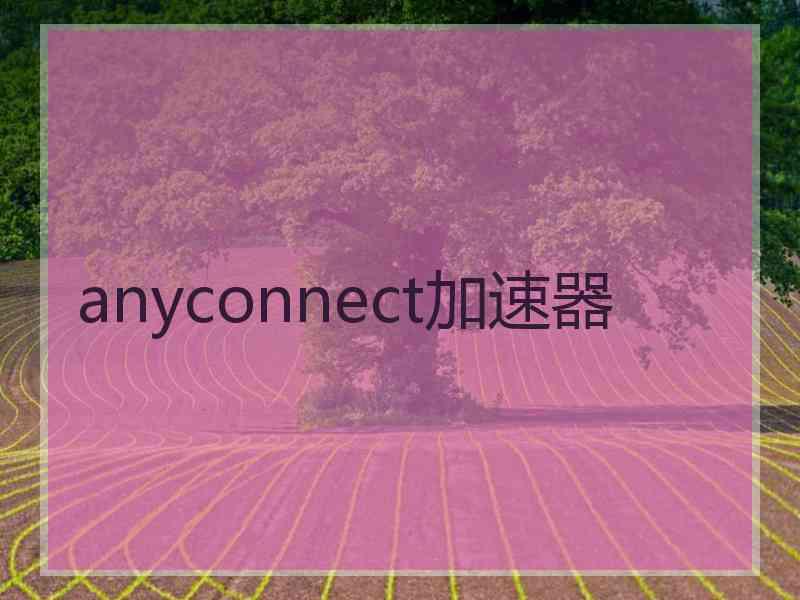 anyconnect加速器