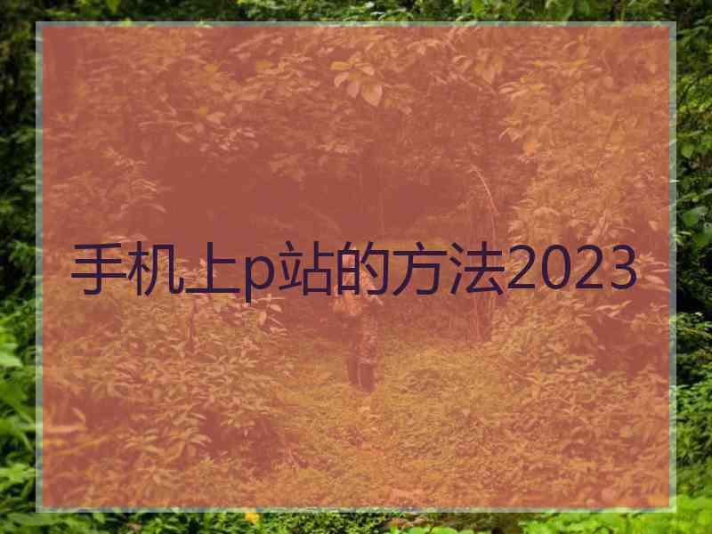 手机上p站的方法2023