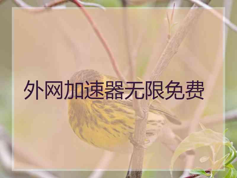外网加速器无限免费