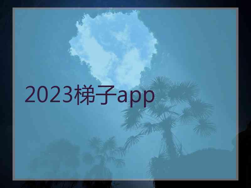 2023梯子app