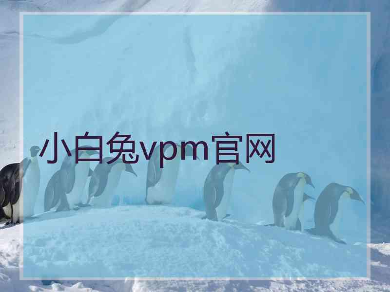 小白兔vpm官网