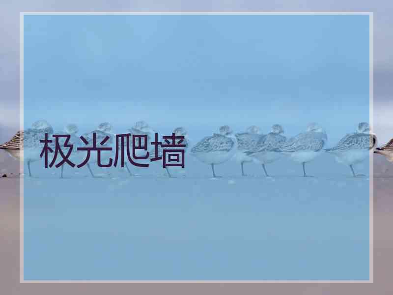 极光爬墙