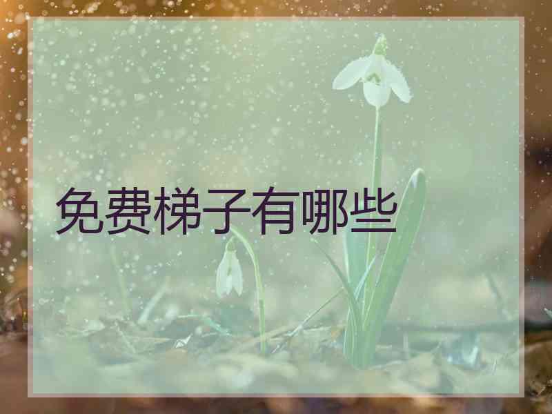 免费梯子有哪些