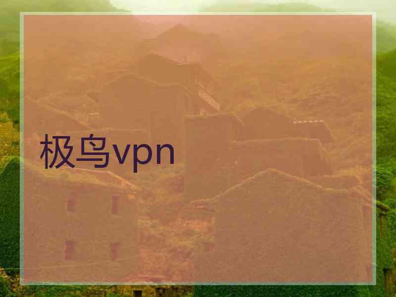 极鸟vpn