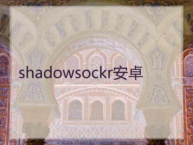 shadowsockr安卓