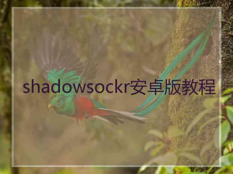 shadowsockr安卓版教程