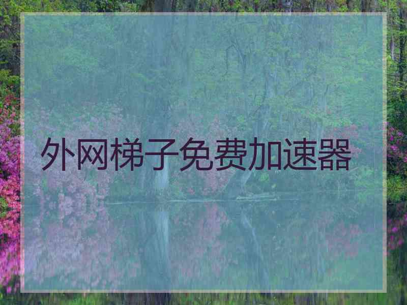外网梯子免费加速器